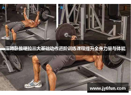 深蹲卧推硬拉三大基础动作进阶训练课程提升全身力量与体能